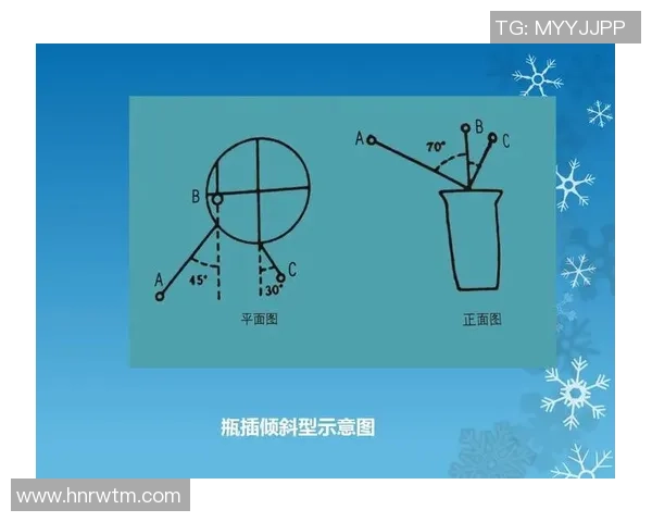 足球球星入门指南 从基础知识到球场表现全面解析 足球球星入门指南 从基础知识到球场表现全面解析